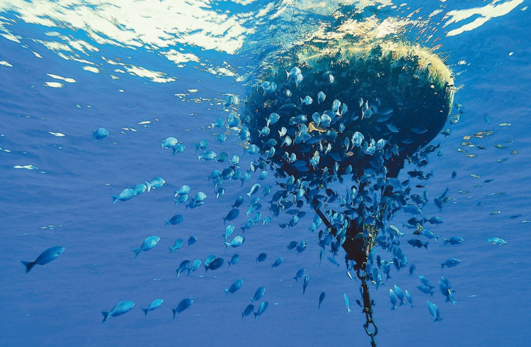 �_(t��i)����Ѳ�(du��)�T�Ĕz̫ƽ�u�����߼t �W(w��ng)�ѸЇ@������ƻ�