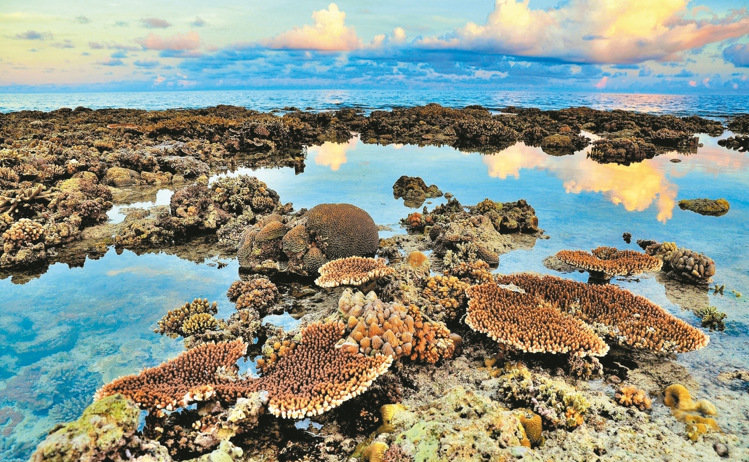 �_(t��i)����Ѳ�(du��)�T�Ĕz̫ƽ�u�����߼t �W(w��ng)�ѸЇ@������ƻ�