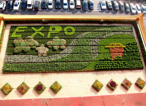 �_(t��i)���Aɽ�����2�Ǒ�(h��)���O(sh��)���л��@��2800��ֲ�Ժ���(y��ng)�������}��׌ס�Ͷ���1��(g��)���e����Ŀ��g