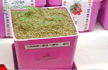 �����̵���ļo(j��)��Ʒ�V����ϲ�����DƬ��Դ���_(t��i)��TVBS�ҕ�_(t��i)