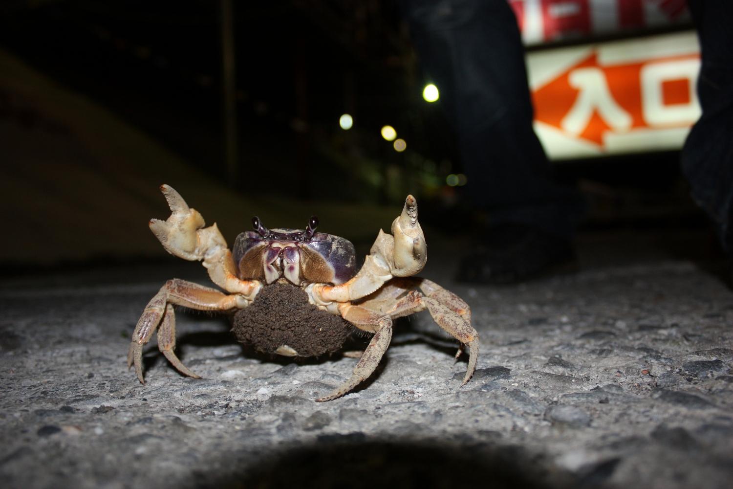 �DƬ��Դ���ЏV���W