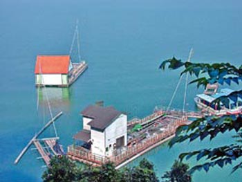 ����̶���ݽ���������������(du��)���^��ˮ���������ɘO�����_���DƬ��Դ���_(t��i)�����Ї��r(sh��)��(b��o)��