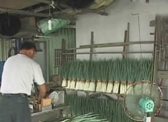 �_�����m�؅^(q��)�B�Ձ����´��꣬��(d��ng)?sh��)��خa(ch��n)�����[�a(ch��n)�����r���ѽ�(j��ng)�ܵ�?j��ng)_�����Y�ψDƬ�����DƬ��Դ���_�����������W(w��ng)��