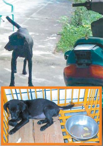 �_��50����������ﹷ��Ⱦ��Ȯ��