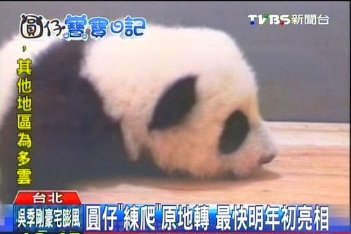 ٛ(z��ng)�_(t��i)����؈ǧ���W(xu��)����ԭ�ش��D(zhu��n)������������