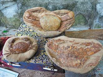 臺(tái)灣一男子穿梭溪谷30年搶救四萬(wàn)件化石(圖)