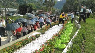 �_(t��i)���Ƅ�(d��ng)��Ԫ�h(hu��n)�����(y��ng)��ɽ�O(sh��)����^(q��)���D��