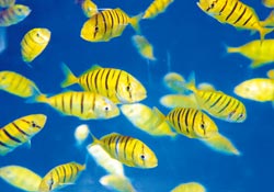 �_���ɹ���ֳ��(f��)�����S���~����ǧβ���~�ǳ�����