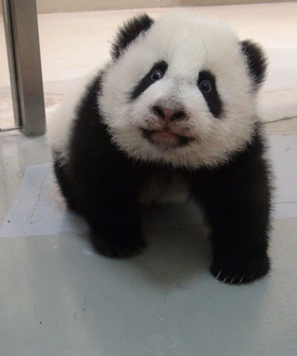 �_(t��i)������؈�������A�С��{(di��o)Ƥ��(d��ng)�Ė|����ȥ׷