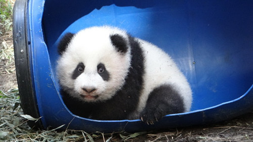 �_(t��i)������؈�������A�С���߶���۝L�����D��