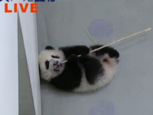 �_(t��i)������؈����ֱ�������{(di��o)Ƥ���������������D��