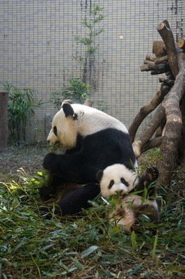 �����_(t��i)������؈�������A�С��ĺ��ѡ�ˮ�����