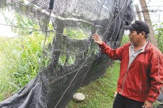 �_�|�r(n��ng)���⡰������Ɖ������С��ܳ��]��