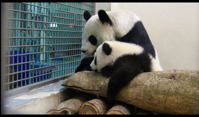 ٛ�_��؈�A���򋌋��u���w�䱧���Ȳ��ţ��D��