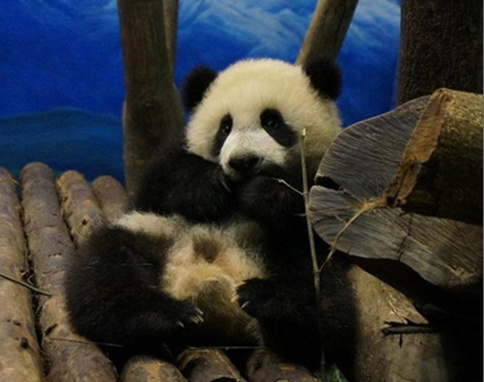 ���A�С��w�zŤ��(l��i)Ťȥ�����T�W�ܼ�����צ���D��