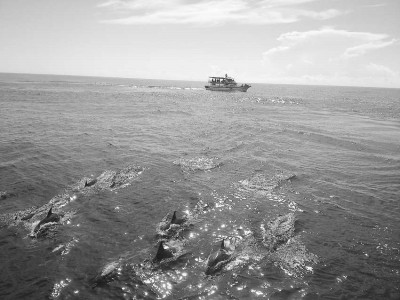 �_(t��i)���O�I(y��)������ֵ·�����p�L�ࡢ��͘�����洹�