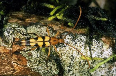 �_���l(f��)�F(xi��n)��ţ��Ʒ�N���������Ƭ��������������D��