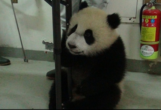 ���A�С�Խ��(l��i)Խ�C(j��)�`������Ó�����z�飨�D��