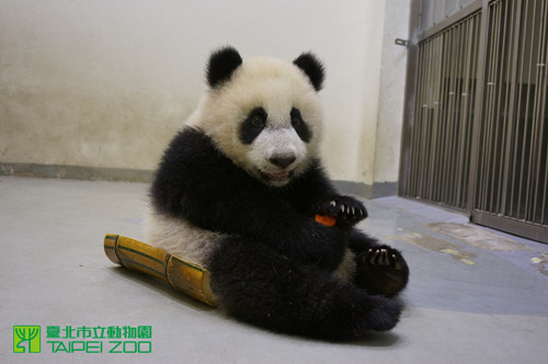 �_(t��i)������؈���A�С���������(zh��n)���M(j��n)܊����չ�����D��