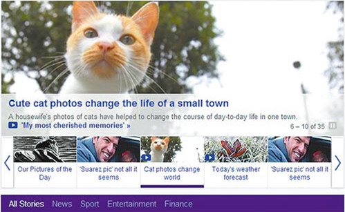臺(tái)灣猴硐貓咪照登上雅虎首頁(yè)未來(lái)可創(chuàng)8億點(diǎn)擊量