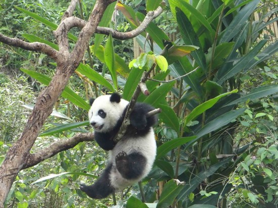 �_������؈���A�С�������ϵ����ο����亹���D��