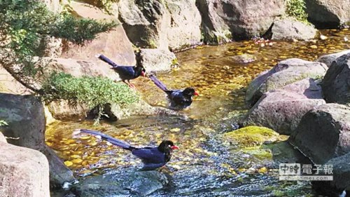 �_(t��i)���e�^�l(f��)�F(xi��n)�{(l��n)�o�������ҷQ�ஔ(d��ng)��Ҋ���D��