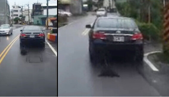 惡男開(kāi)車(chē)把小狗拖到死