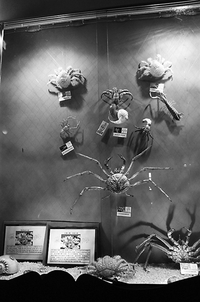 臺灣農(nóng)場“家家有絕活”