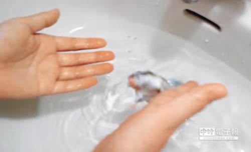 ���128���͂}(c��ng)��17�ξW(w��ng)��ŭ�QҪ�����������D��