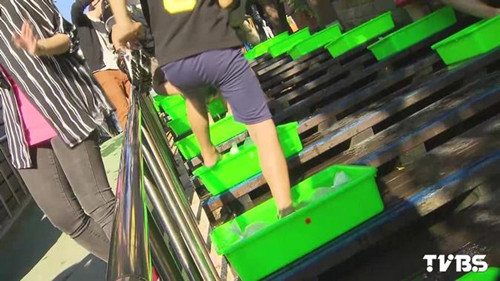 С�W(xu��)�����w�(y��n)�u���˸��܌W(xu��)��̤��Ͱ���ޣ��D��