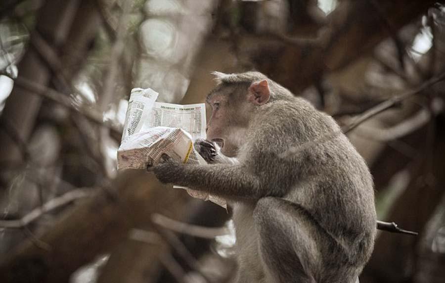 ӡ��J�����Ϳ���(b��o)�� ��x�������