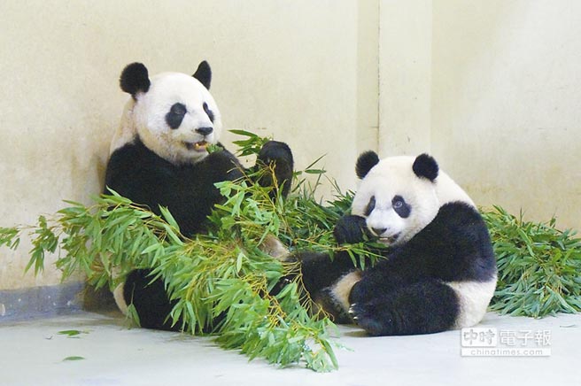 �A�п����~�Ԅ�(chu��ng)����Ęʽ���Է� ߅��߅��Ę���D��