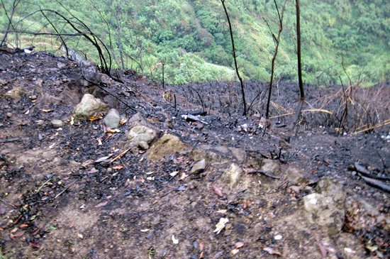 ����ɽ�ӟ�5��해��Ϩ��F(xi��n)���ɽ������D��