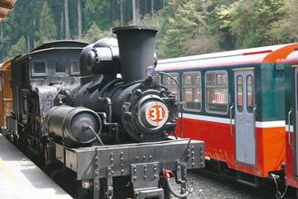 �_(t��i)������ɽɭ���F·102�q ʥ�Q��(ji��)���؆��uľ܇(ch��)��(�D)