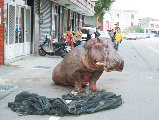 ���޴���R�����ӡ���؛��܇��������܇�⣬�_ײ·߅��ɫ�I܇������Ѫ�E