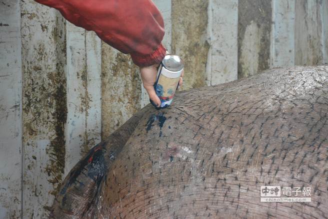 �_���܂����I���R�����ӡ��ѕ��r������(�D)