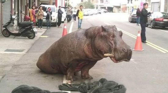 ���R��؛܇����ײ�����X �c��·�����ۜI(�D)