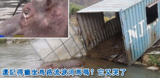 �_�����R��܇�܂����ٴ�ˤ���܂�(�D)