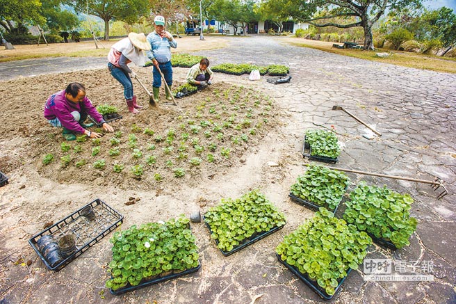 �_��ȱˮ���ݸ� �r(n��ng)��S�������ɫԹ����