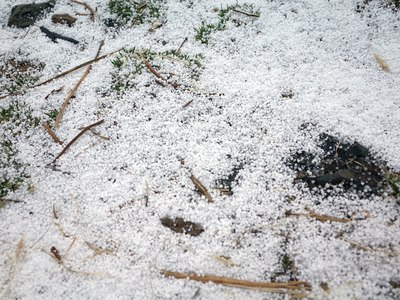 寒流發(fā)威臺灣玉山降今年第一場“冰霰”(圖)