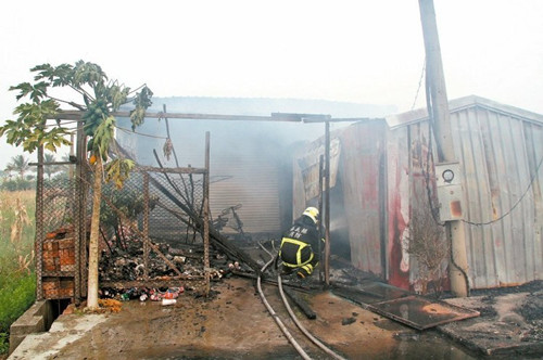 燒螞蟻引大火88歲老婦嚇壞直呼“不敢了”(圖)