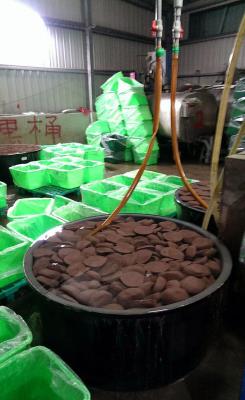 ������Ѫ���Zȫ�_���P(gu��n)��Ʒ�A(y��)�����¼ܣ��D��