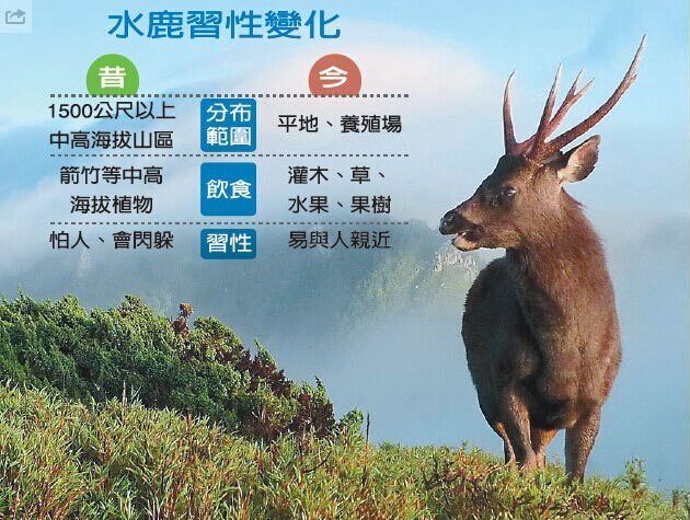 �_(t��i)���ɺ���(y��n)��ˮ�ɲݿ� ¹Ⱥ�J���@���|���D��