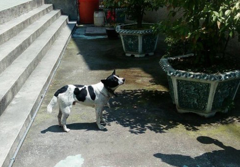 ����Ů��܇��?zh��n)�����С������ǰ���?����ɳ���̽��