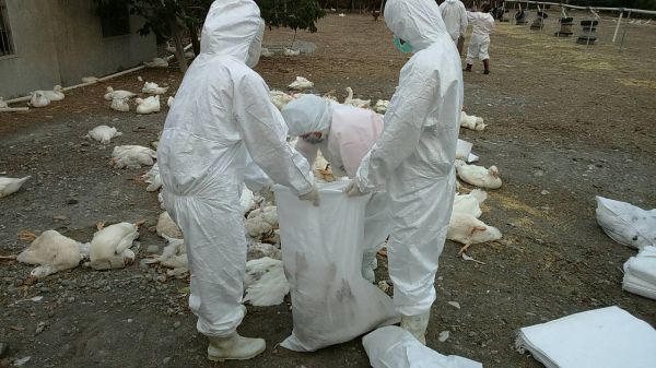 ��ⲻ��(w��n)���û��h���������������DƬ��(l��i)Դ���_(t��i)���ЏV���W(w��ng)��