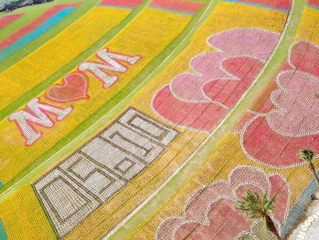 ��ӭ��ĸ�H��(ji��)��λ�ڻ�¡�ē����Ą�(chu��ng)�@�^(q��)����12�f(w��n)֧�L(f��ng)܇ƴ�ɾ޷�����ܰ�ؾ�