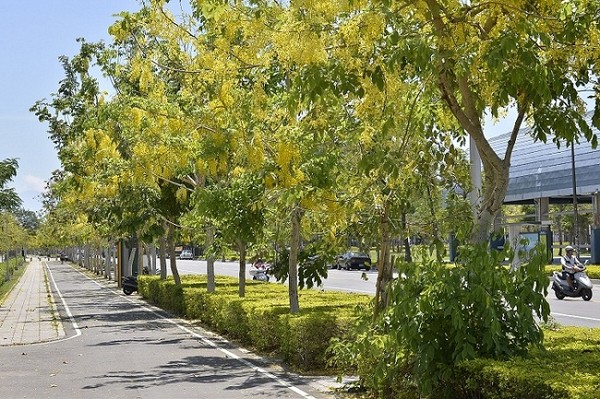 ���۵İ����՟���ʢ���������_(t��i)ý�D��