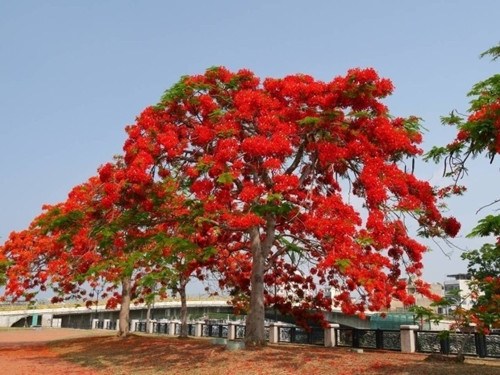 �_(t��i)�ϻ��_�M�� �P�˻��������ՠ�(zh��ng)�ข(j��ng)�G(�D)