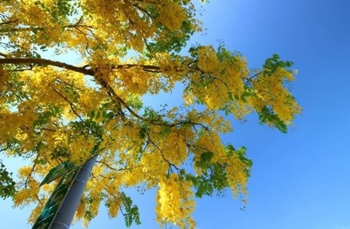 �_(t��i)�ϻ��_�M�� �P�˻��������ՠ�(zh��ng)�ข(j��ng)�G(�D)