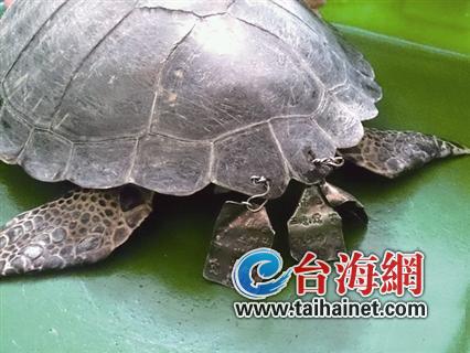 �G�P�����F�Ʊ����� ���l(f��)�_(t��i)�����(hu��)���h(�D)